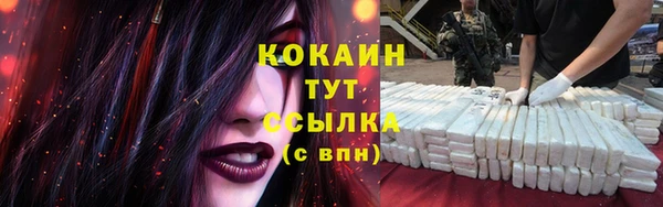 твердый Переславль-Залесский