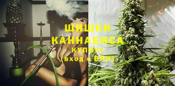 стафф Грязовец