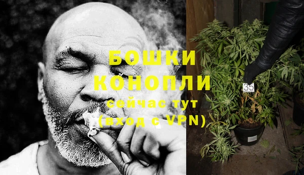 стафф Грязовец
