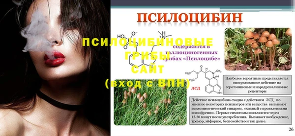 метадон Пересвет