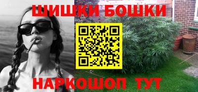 индика Жуковский