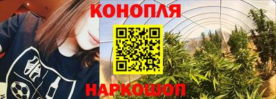 индика Жуковский
