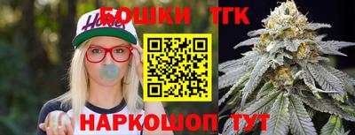 индика Жуковский