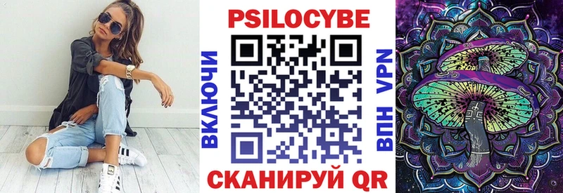Псилоцибиновые грибы Cubensis  Балтийск 