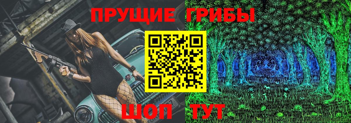 Балтийск  Псилоцибиновые грибы прущие грибы  Вход с VPN 