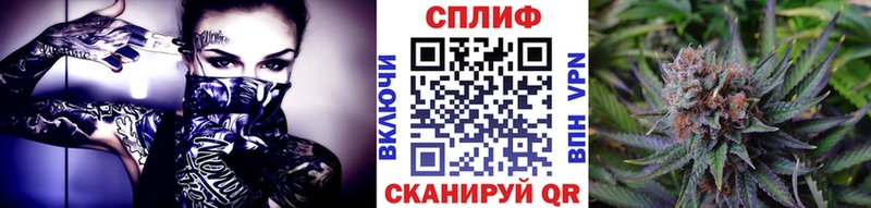 МАРИХУАНА сатива Балтийск